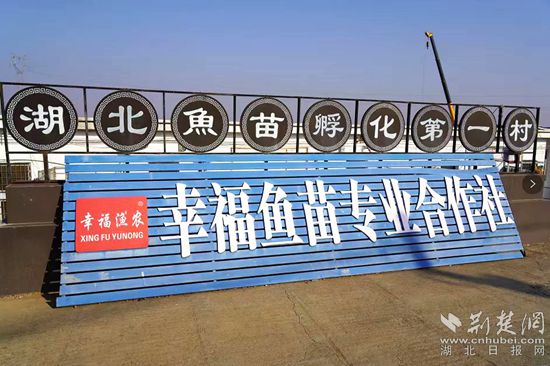 6、湖北魚苗第一村_副本.jpg