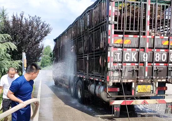 眼見一車生豬被救，長途司機(jī)李師傅終于松了口氣 (2)_副本.jpg