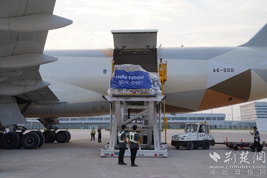 機(jī)務(wù)人員卸下貨物。金康 攝.jpeg