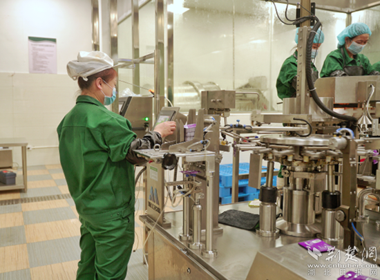 興龍生態(tài)觀光工廠。通訊員 劉承群 供圖_副本.png.png