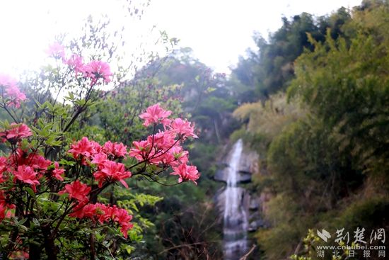 黃龍山頂，風景如畫 黃錚 攝_副本.jpg.jpg