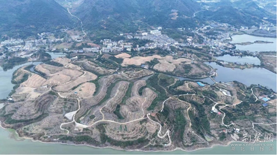 大畈.jpg