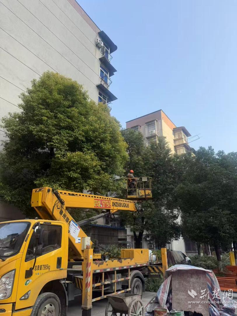 3a448a090e79b13d7e084de0147ba3e6_812X1083_20260116190653